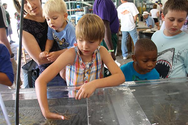 孩子们在夏令营体验海洋生物